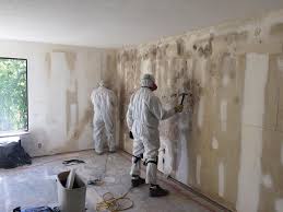 Best Comprehensive Air Testing for Mold Contaminants  in Geneseo, IL